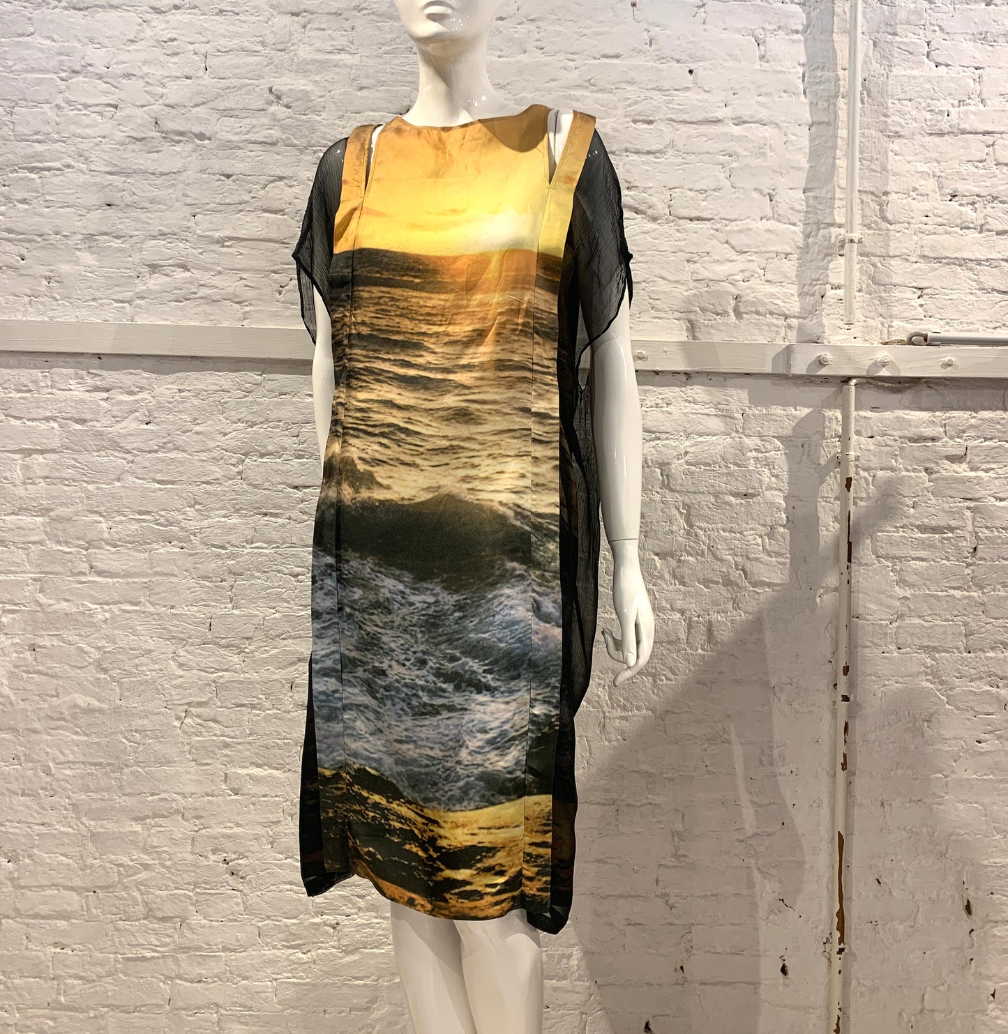 Veronique Branquinho, Spring Summer 2009 Silk Sunset Photo Print Silk Dress