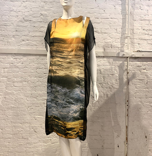 Veronique Branquinho, Spring Summer 2009 Silk Sunset Photo Print Silk Dress