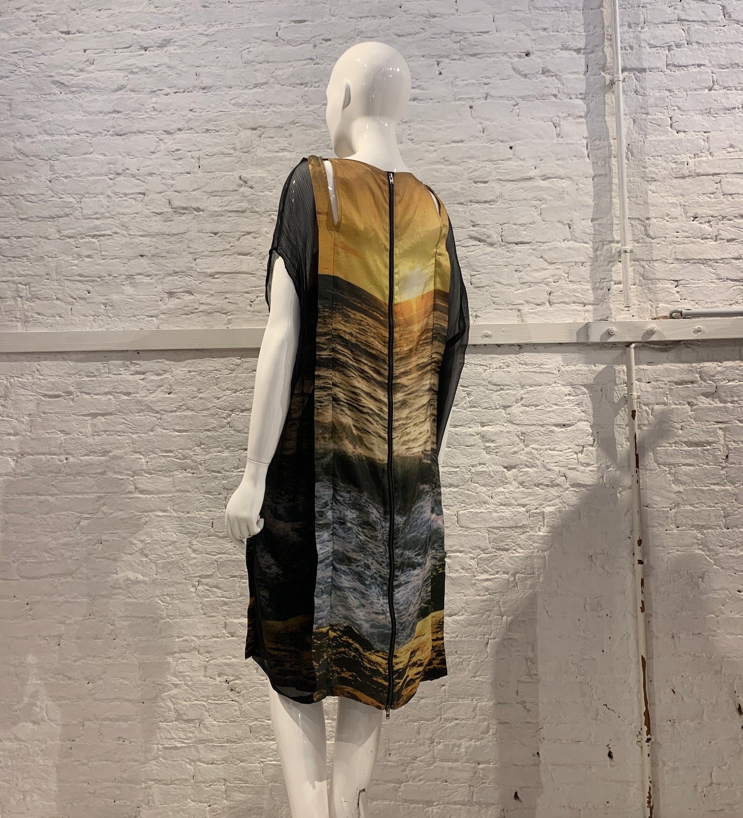 Veronique Branquinho, Spring Summer 2009 Silk Sunset Photo Print Silk Dress