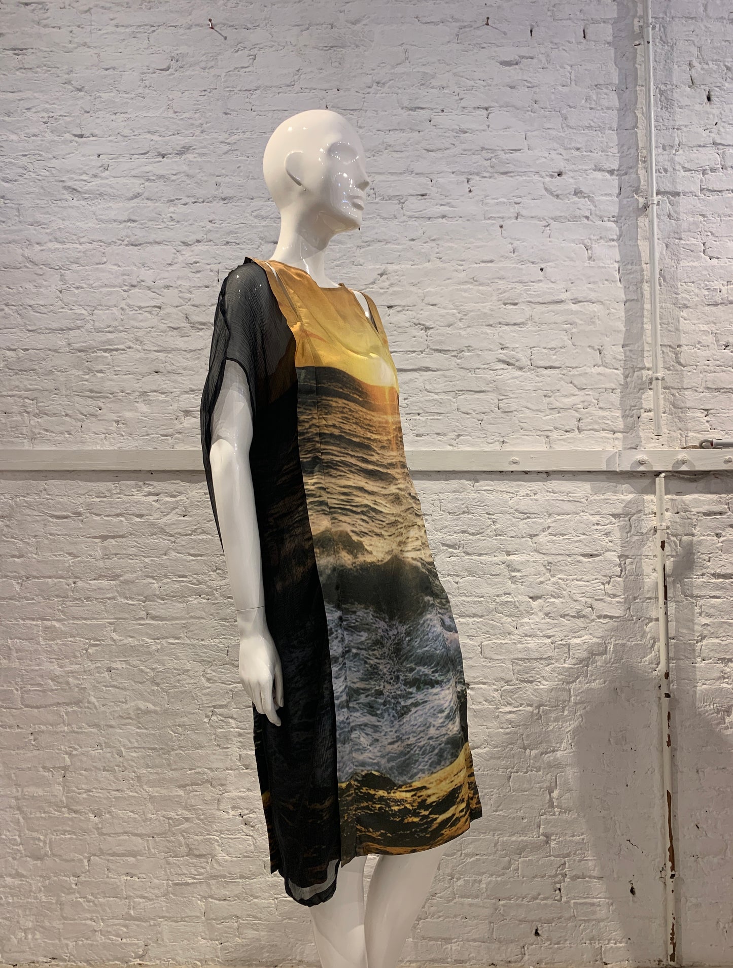 Veronique Branquinho, Spring Summer 2009 Silk Sunset Photo Print Silk Dress