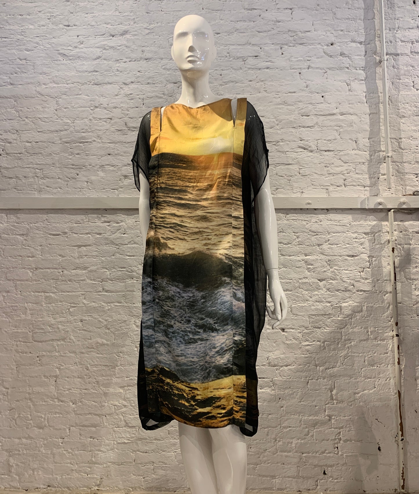 Veronique Branquinho, Spring Summer 2009 Silk Sunset Photo Print Silk Dress